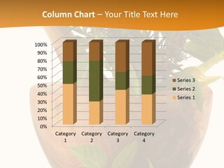 Healing Herbs And Edible Flowers (Hand Carved Olive Tree Mortar And Pestle) PowerPoint Template