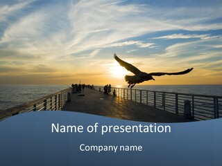 A Seagull Flies Over A Fishing Pier At Sunset In Hermosa Beach,California PowerPoint Template