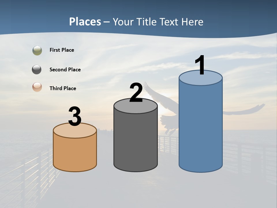 A Seagull Flies Over A Fishing Pier At Sunset In Hermosa Beach,California PowerPoint Template