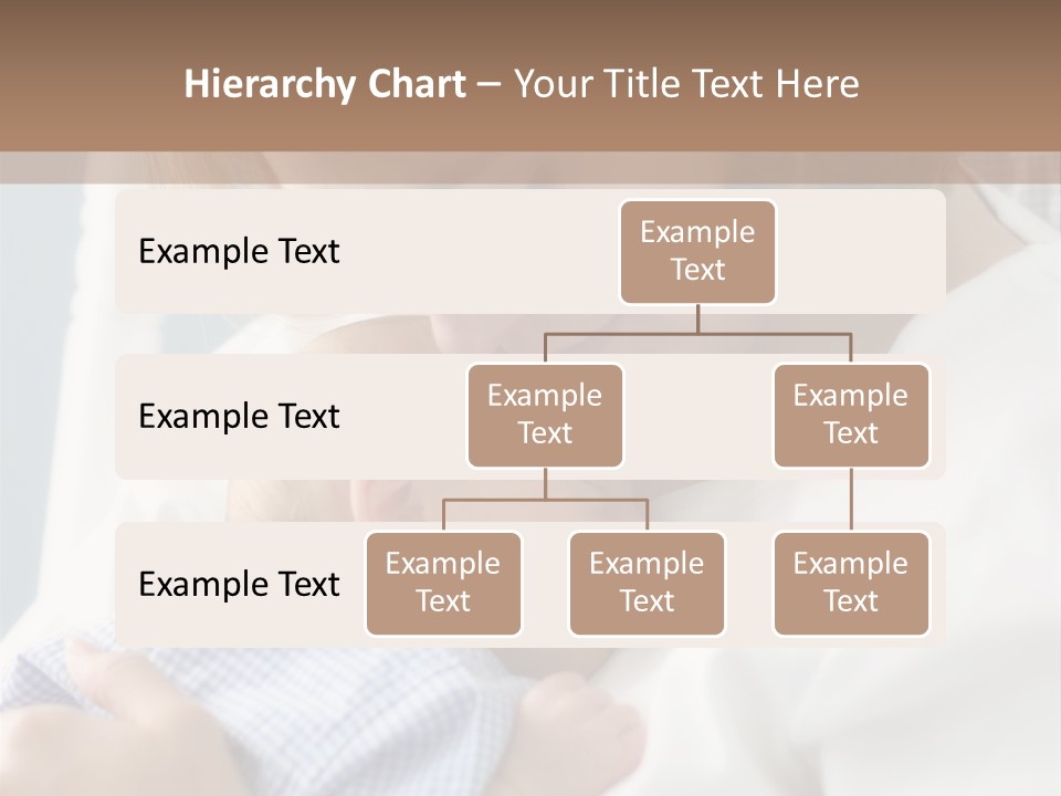 A Green Leaf Isolated On White Background PowerPoint Template