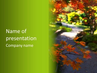 Seattle Japanese Gardens PowerPoint Template