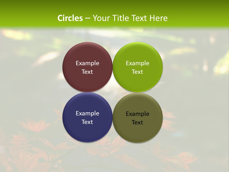 Seattle Japanese Gardens PowerPoint Template