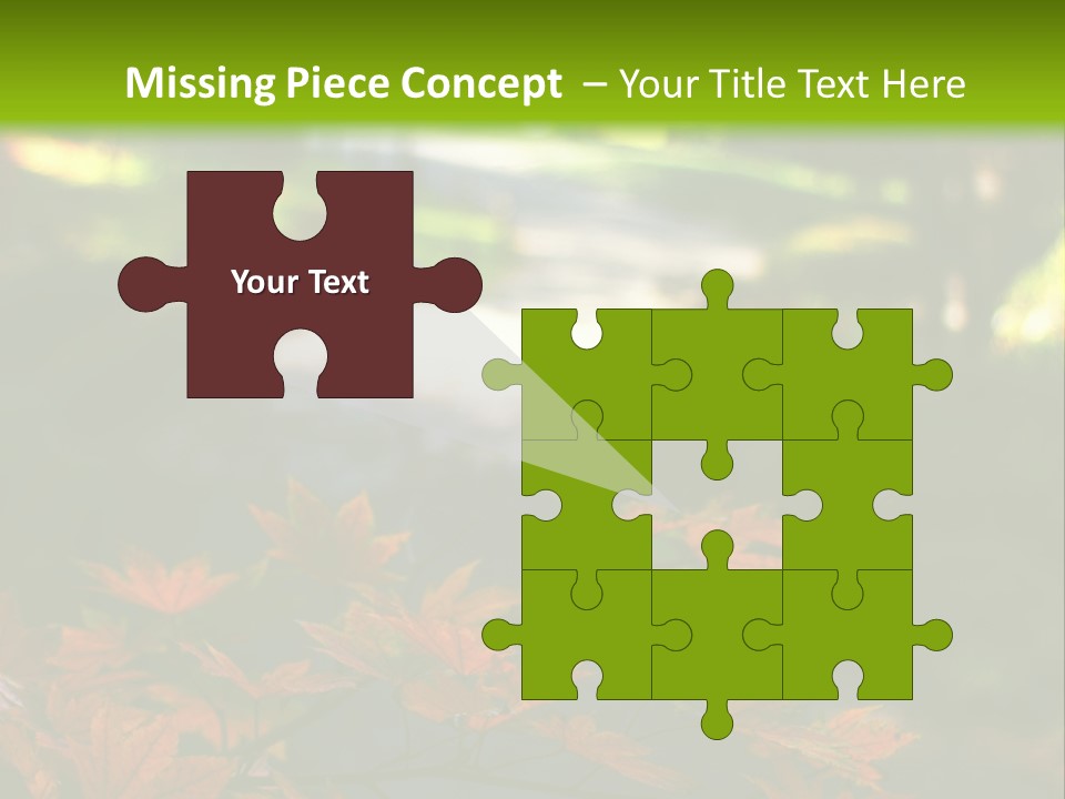 Seattle Japanese Gardens PowerPoint Template