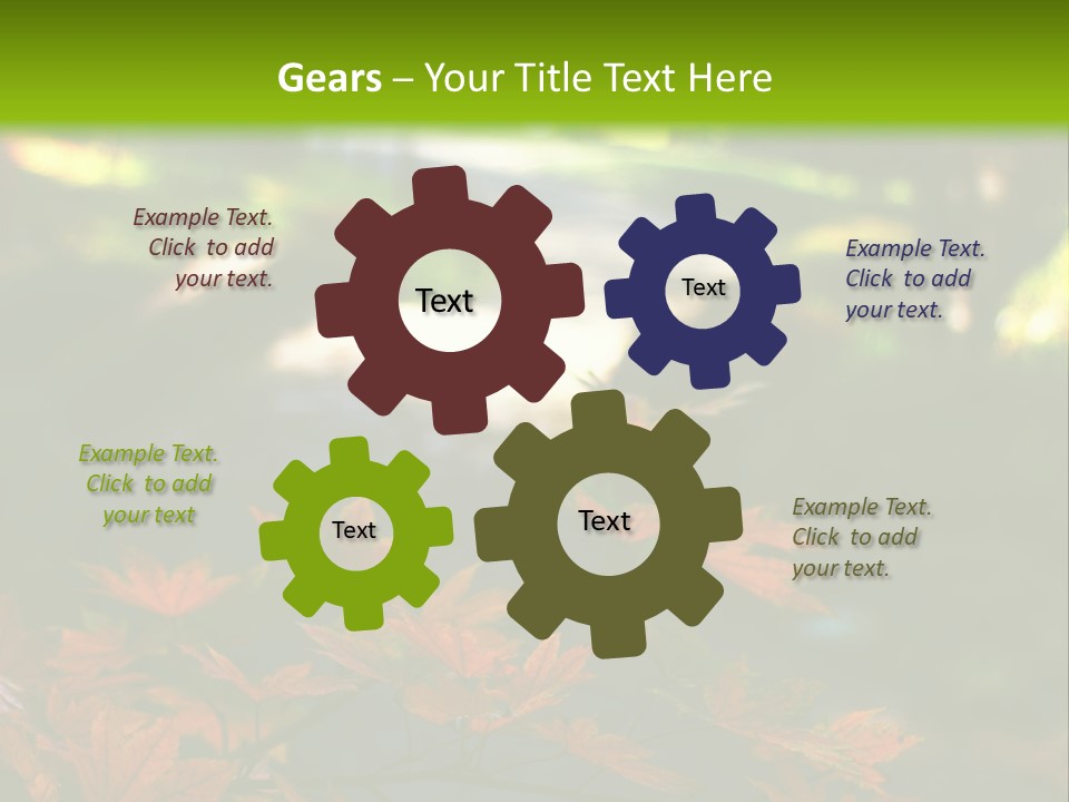 Seattle Japanese Gardens PowerPoint Template