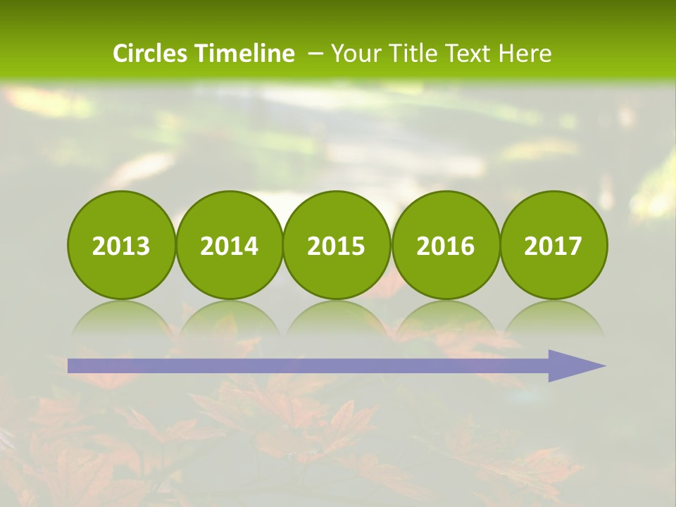 Seattle Japanese Gardens PowerPoint Template