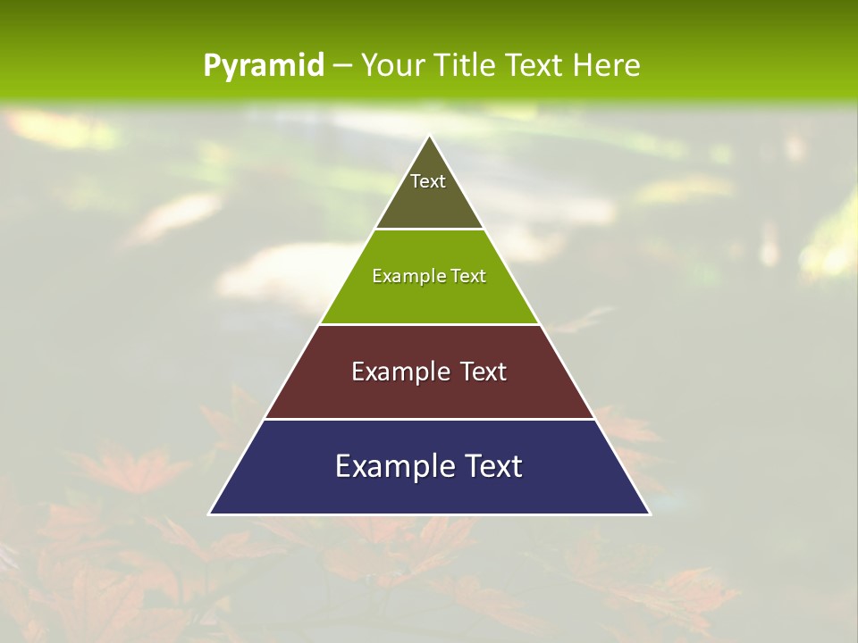 Seattle Japanese Gardens PowerPoint Template