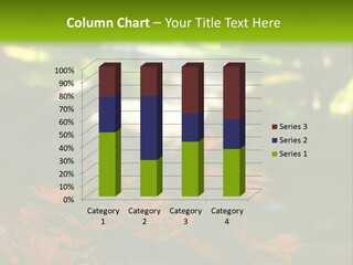 Seattle Japanese Gardens PowerPoint Template