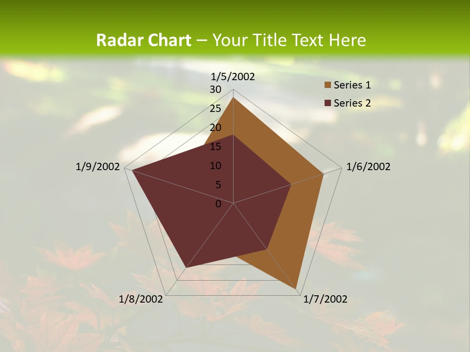 Seattle Japanese Gardens PowerPoint Template