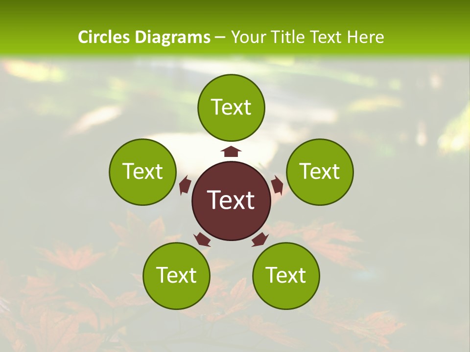 Seattle Japanese Gardens PowerPoint Template