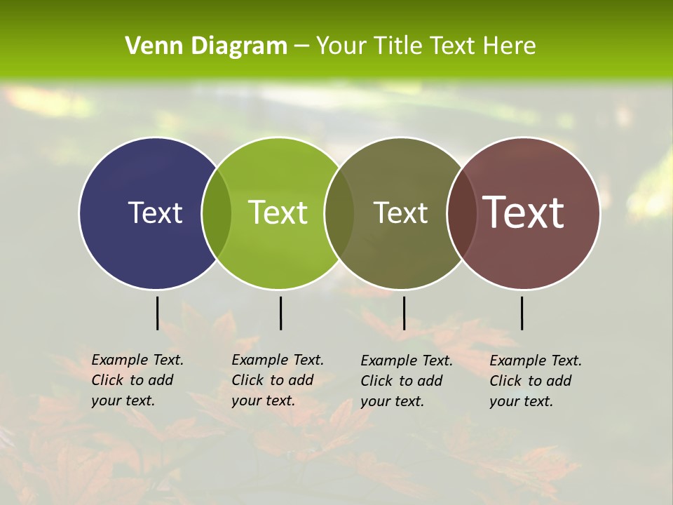 Seattle Japanese Gardens PowerPoint Template