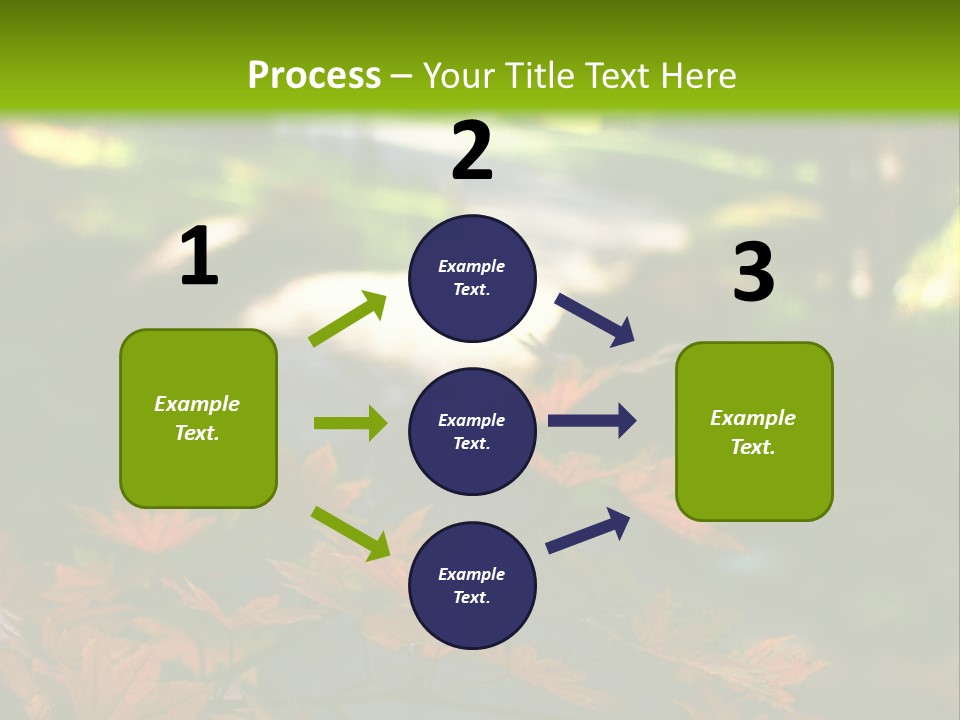 Seattle Japanese Gardens PowerPoint Template