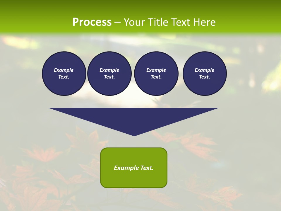 Seattle Japanese Gardens PowerPoint Template