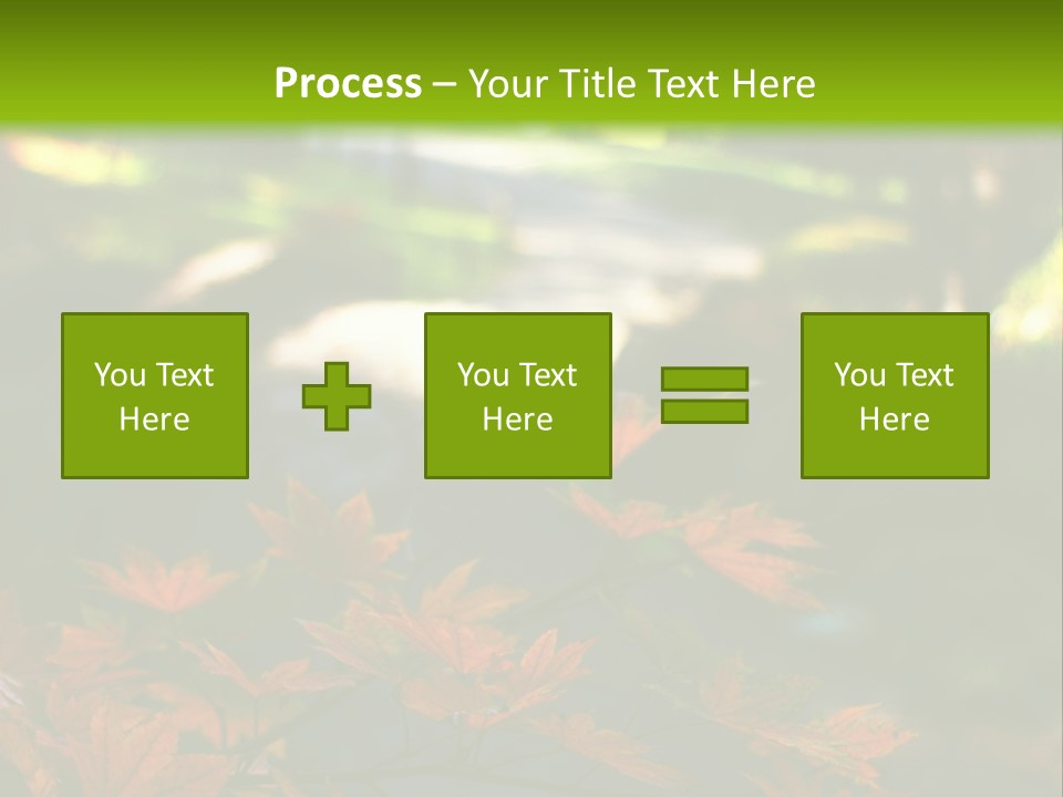 Seattle Japanese Gardens PowerPoint Template