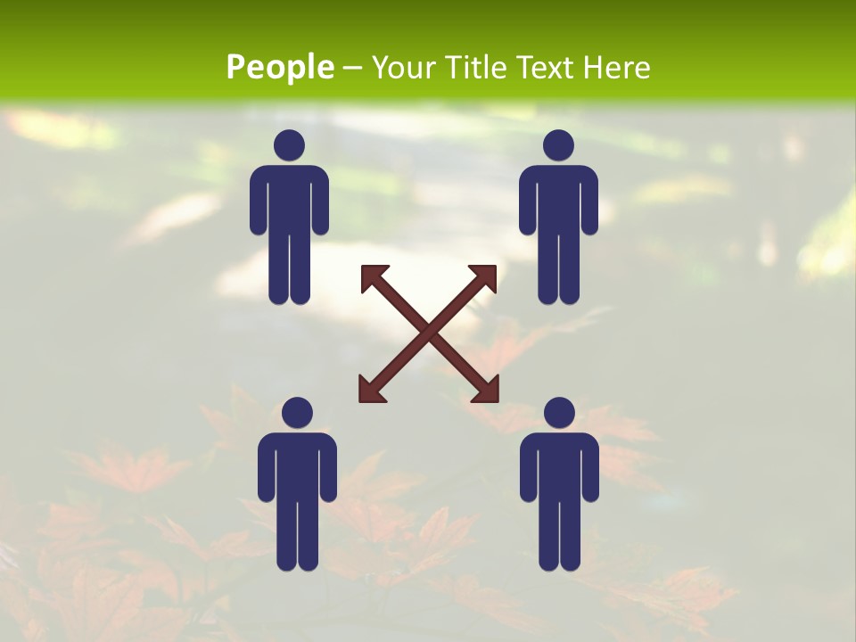 Seattle Japanese Gardens PowerPoint Template