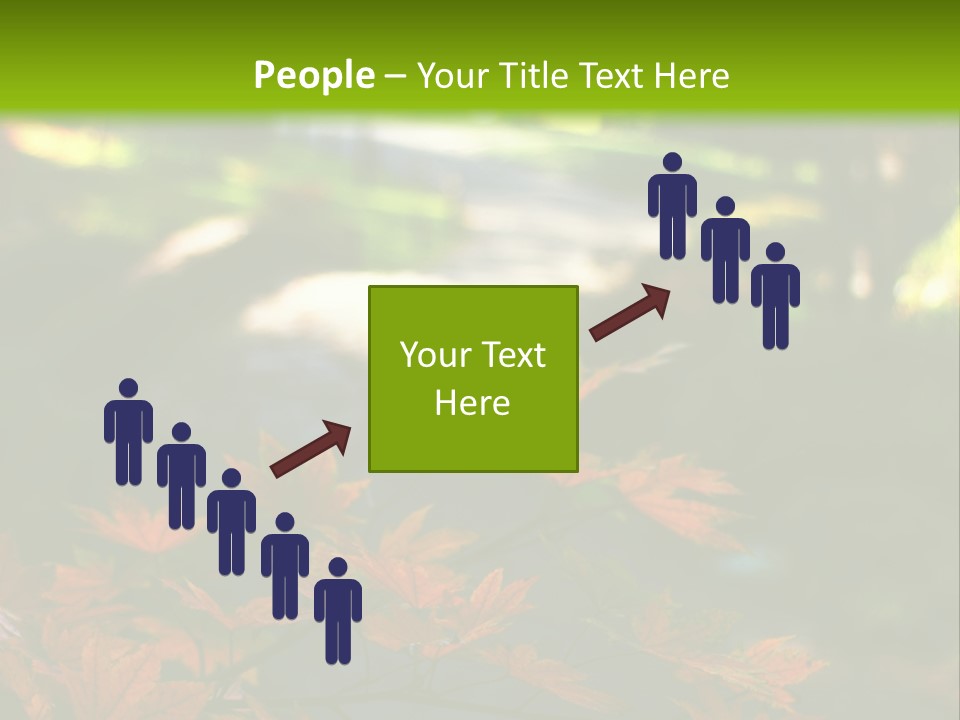 Seattle Japanese Gardens PowerPoint Template