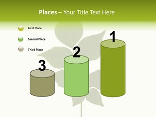 A Green Leaf Isolated On White Background PowerPoint Template