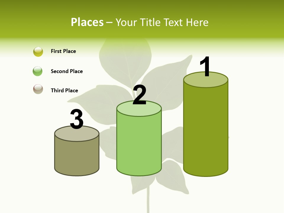 A Green Leaf Isolated On White Background PowerPoint Template