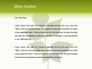A Green Leaf Isolated On White Background PowerPoint Template