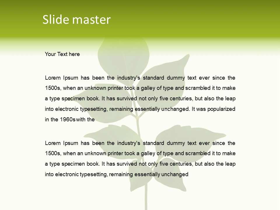 A Green Leaf Isolated On White Background PowerPoint Template