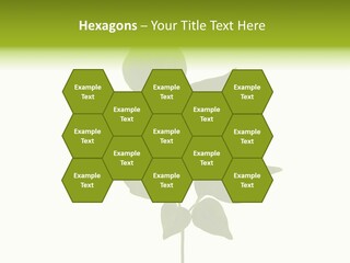 A Green Leaf Isolated On White Background PowerPoint Template