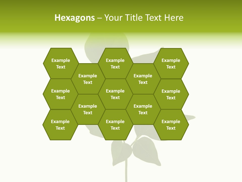 A Green Leaf Isolated On White Background PowerPoint Template