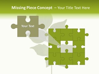 A Green Leaf Isolated On White Background PowerPoint Template