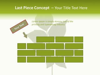 A Green Leaf Isolated On White Background PowerPoint Template