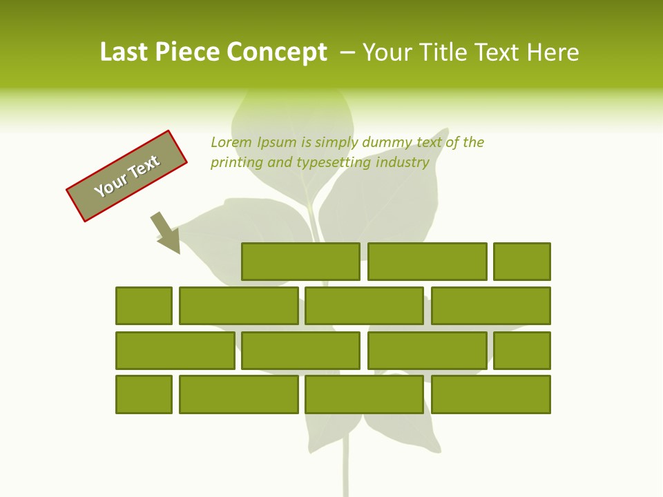 A Green Leaf Isolated On White Background PowerPoint Template