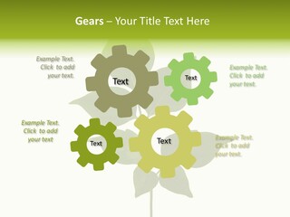 A Green Leaf Isolated On White Background PowerPoint Template