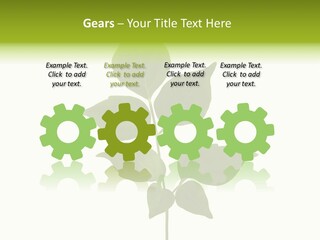 A Green Leaf Isolated On White Background PowerPoint Template