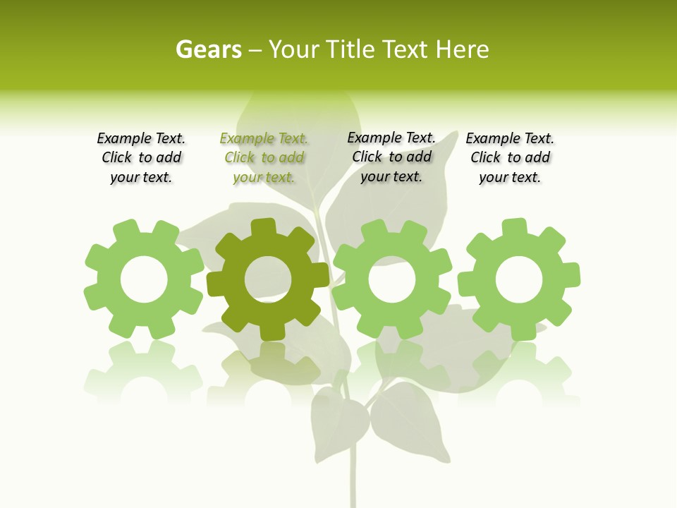 A Green Leaf Isolated On White Background PowerPoint Template