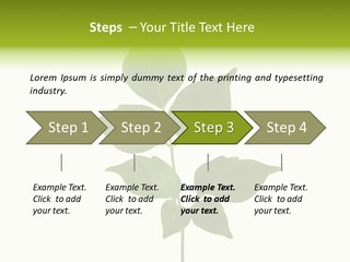 A Green Leaf Isolated On White Background PowerPoint Template
