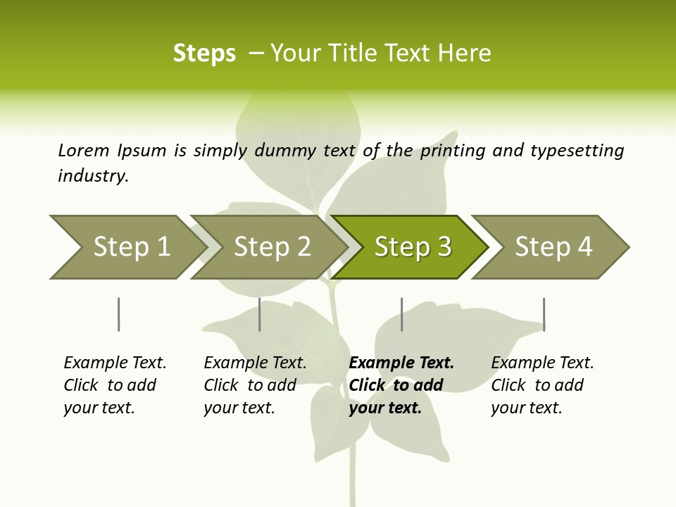A Green Leaf Isolated On White Background PowerPoint Template