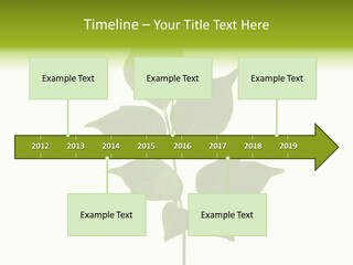 A Green Leaf Isolated On White Background PowerPoint Template