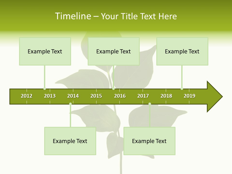 A Green Leaf Isolated On White Background PowerPoint Template