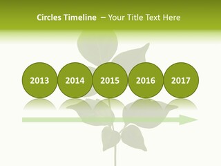 A Green Leaf Isolated On White Background PowerPoint Template