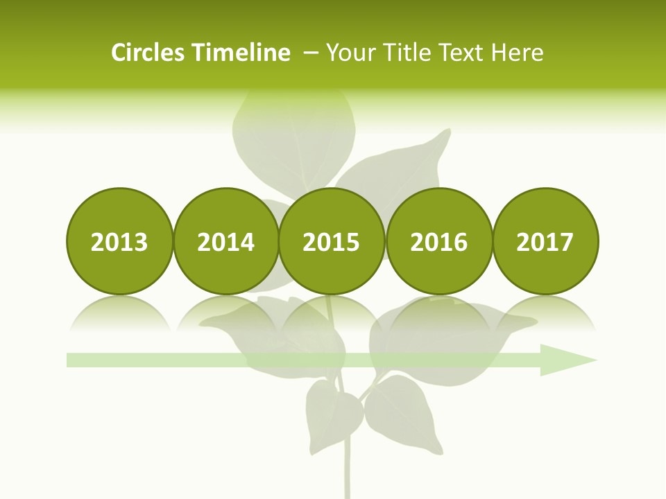 A Green Leaf Isolated On White Background PowerPoint Template