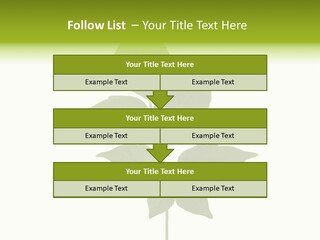 A Green Leaf Isolated On White Background PowerPoint Template