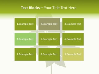 A Green Leaf Isolated On White Background PowerPoint Template