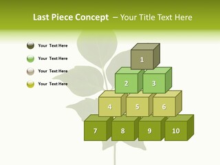 A Green Leaf Isolated On White Background PowerPoint Template