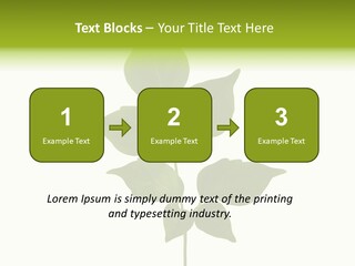 A Green Leaf Isolated On White Background PowerPoint Template