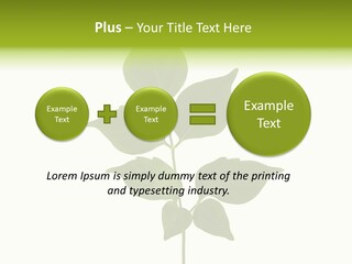 A Green Leaf Isolated On White Background PowerPoint Template
