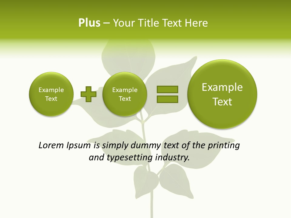 A Green Leaf Isolated On White Background PowerPoint Template