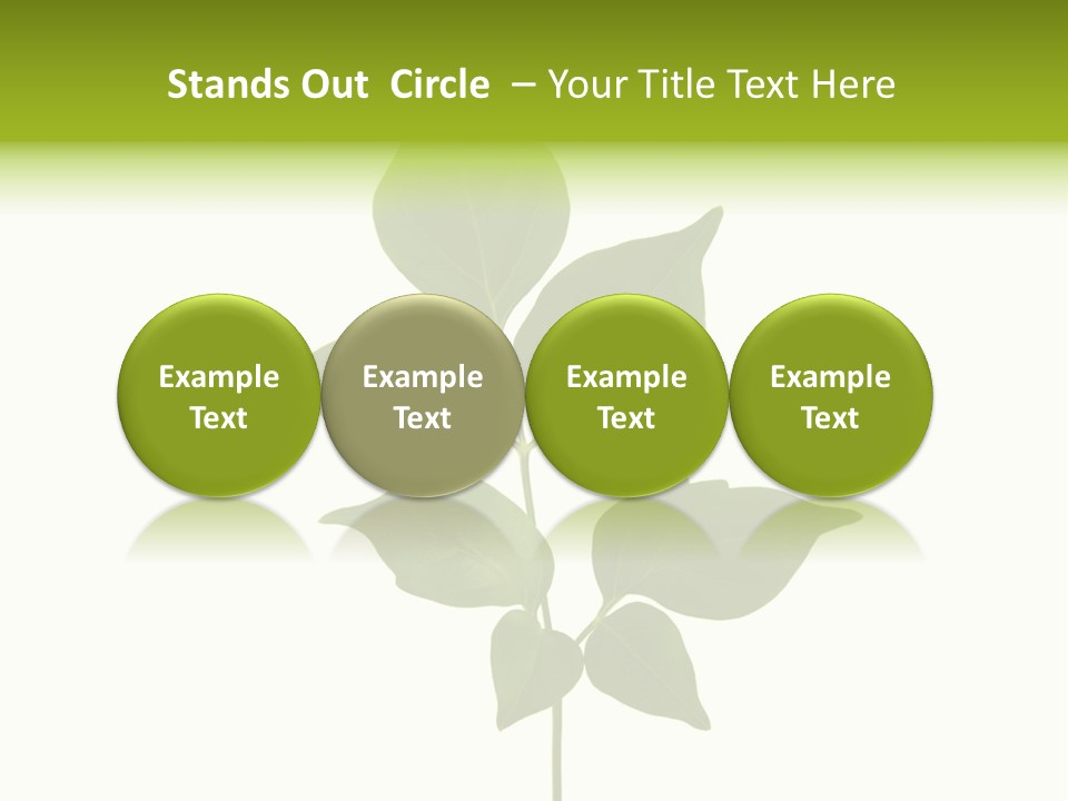 A Green Leaf Isolated On White Background PowerPoint Template