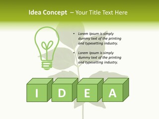A Green Leaf Isolated On White Background PowerPoint Template