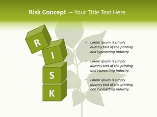A Green Leaf Isolated On White Background PowerPoint Template