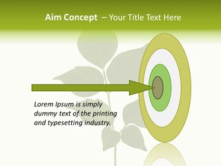 A Green Leaf Isolated On White Background PowerPoint Template