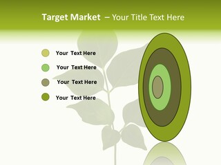 A Green Leaf Isolated On White Background PowerPoint Template