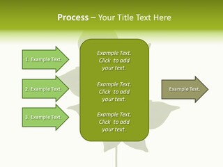 A Green Leaf Isolated On White Background PowerPoint Template