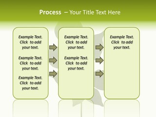 A Green Leaf Isolated On White Background PowerPoint Template